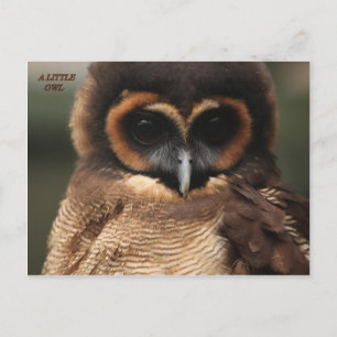 EIN KLEINES EIGENTUM POSTKARTE