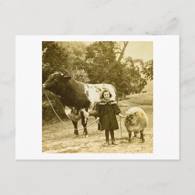 Ein kleines Kind wird sie führen Postkarte (Vorderseite)