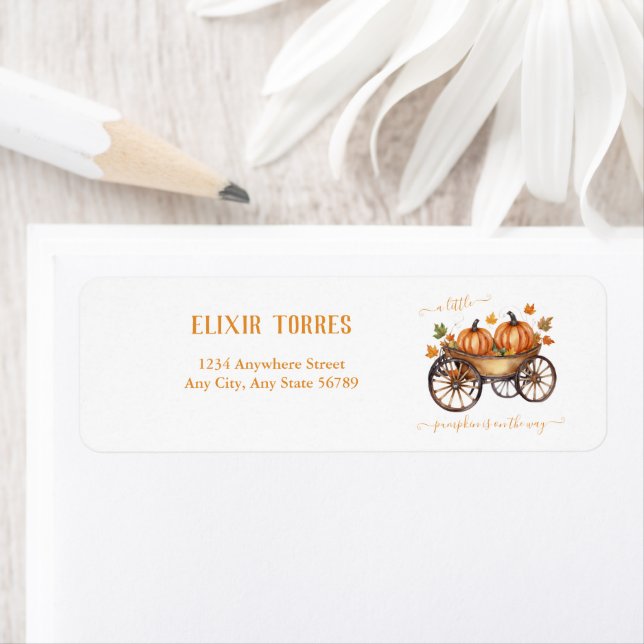 Ein kleines Pumpkin Fall Baby Duschgeschlecht neut (Insitu)