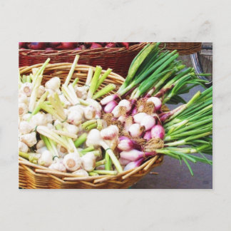 Ein Korb von GARLIC - Neapel, Italien Postkarte