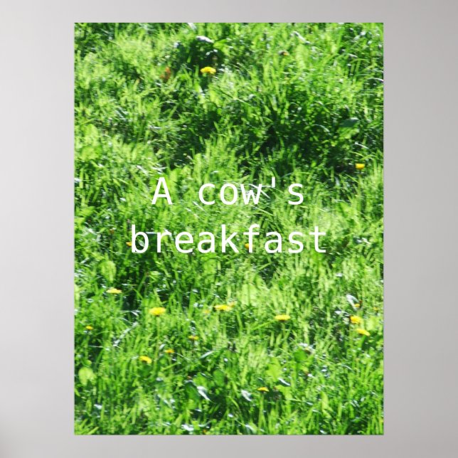 Ein Kuhfrühstück Poster (Vorne)