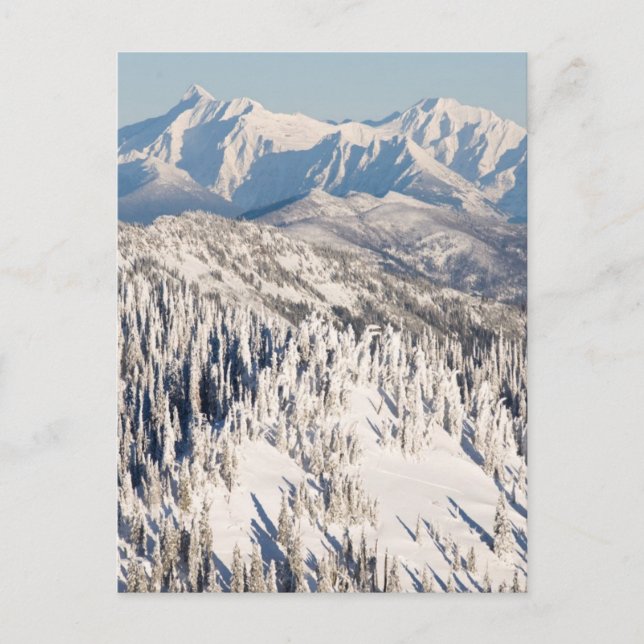Ein Landschaftlicher Blick auf die schneebedeckten Postkarte (Vorderseite)
