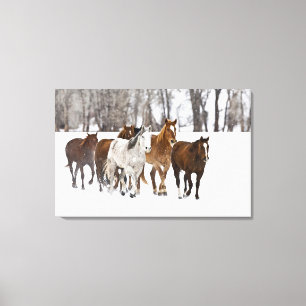 Ein landschaftlicher Winter Leinwanddruck