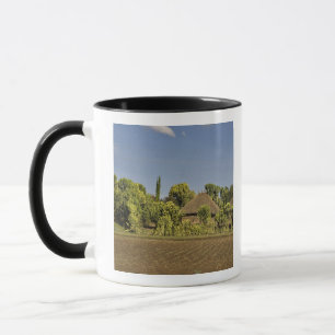 Ein landwirtschaftlich genutztes Feld vor Häusern  Tasse