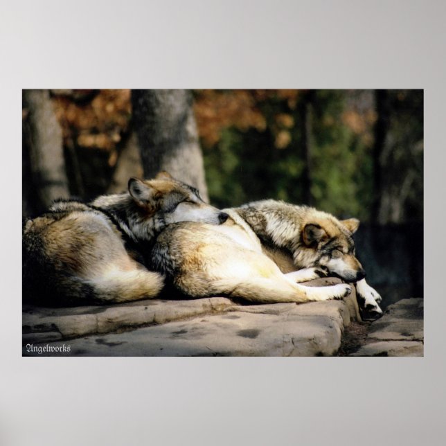 Ein langer Tag Poster (Vorne)
