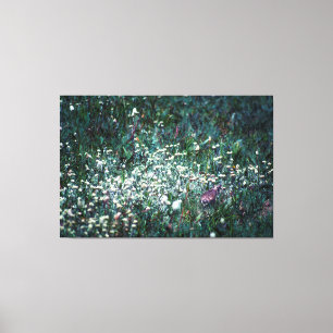 Ein Lark auf der Wiese Leinwanddruck