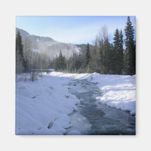 Ein lebhafter morgendlicher Spaziergang zum Whistl Magnet