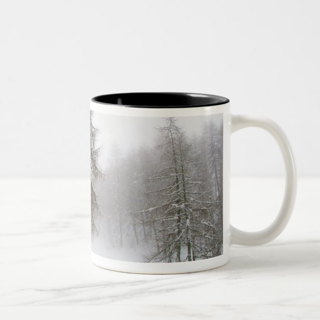 Ein lehnender Baum in einem Schnee bedeckte Weg Zweifarbige Tasse (Rechts)