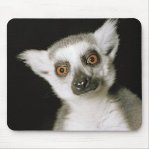 Ein Lemur. Mousepad