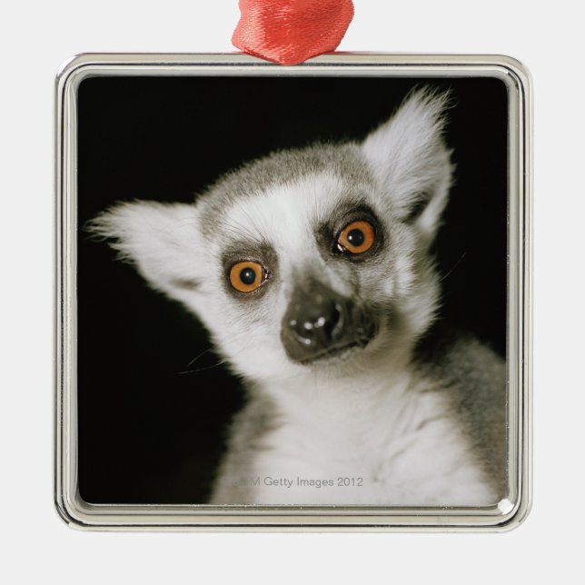 Ein Lemur. Silbernes Ornament (Vorne)