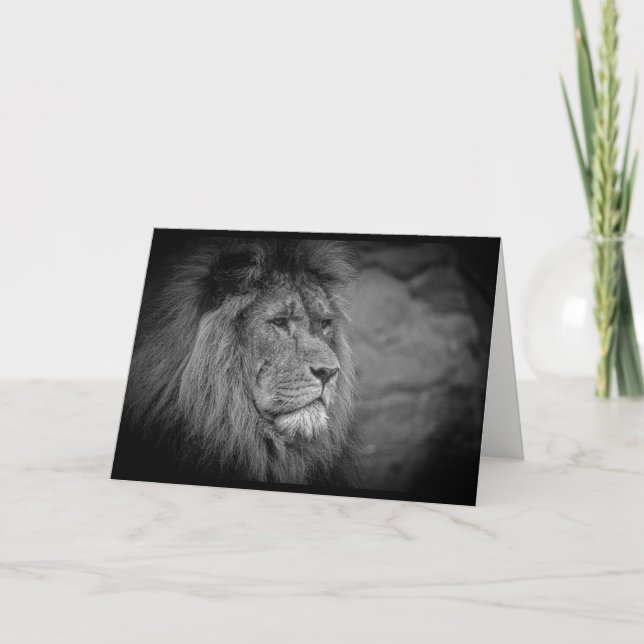 Ein Leo Birthday Karte (Vorderseite)