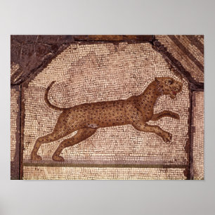 Ein Leopard Poster