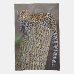 Ein Leoparden-Schwanz Küchenhandtuch Geschirrtuch