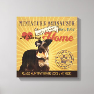 Ein liebenswerter Miniaturschnauzer macht unser Ha Leinwanddruck