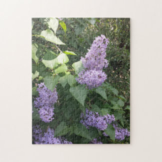 Ein Lila Lilac Jigsaw-Puzzle