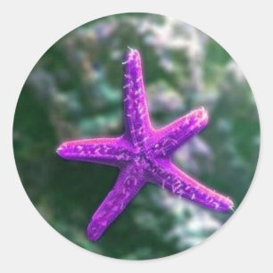 Ein Lila Starfish Runder Aufkleber