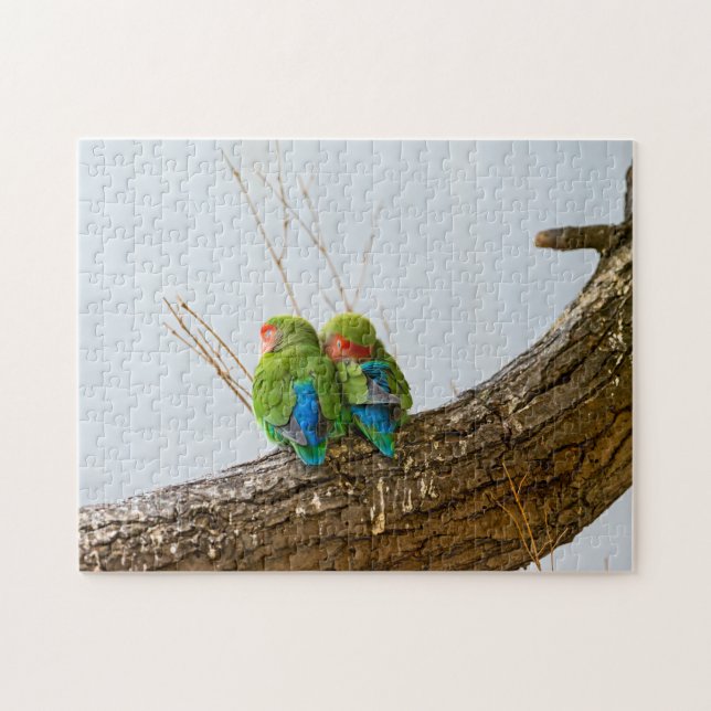 Ein lovebird-Paar auf einer Niederlassung (Horizontal)