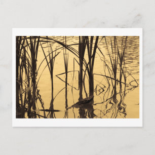 ein Lügner ist Postkarte