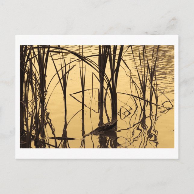 ein Lügner ist Postkarte (Vorderseite)