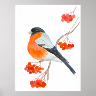 Ein lustiges Bullfino auf einem Gewölbebaum Poster