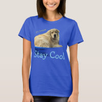 Ein lustiges T-Shirt mit einem Golden Retriever.