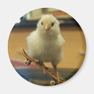Ein Mädchen auf einem Skateboard dekorierter Magne Magnet