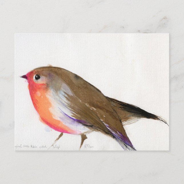 Ein magisches kleines Rotkehlchen namens "Wisp 201 Postkarte (Vorderseite)