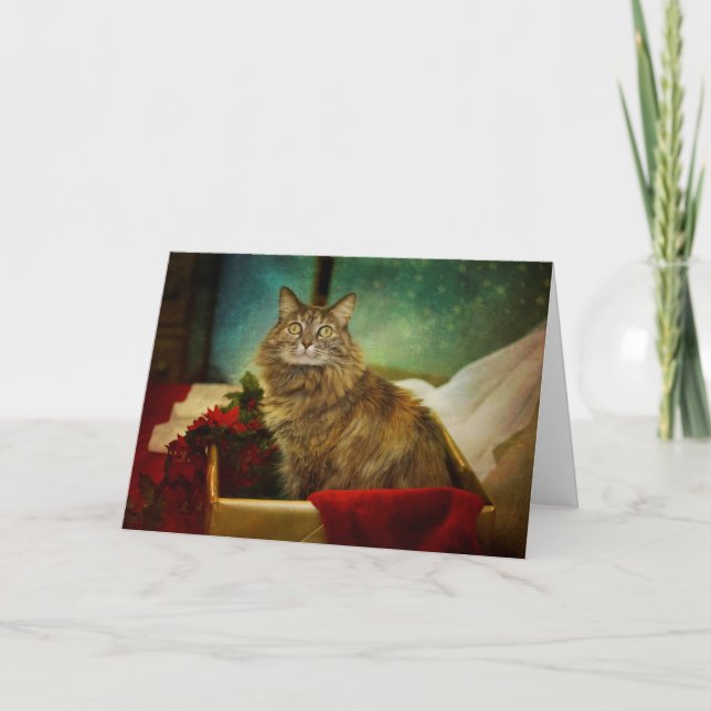 Ein magisches Weihnachten (Vorderseite)