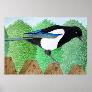 Ein Magpie steht auf einem Zaun Poster