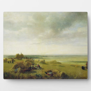 Ein Maisfeld Fotoplatte