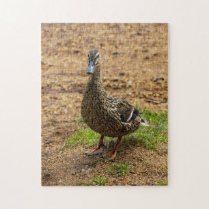 Ein Mallard Duck Jigsaw-Puzzle