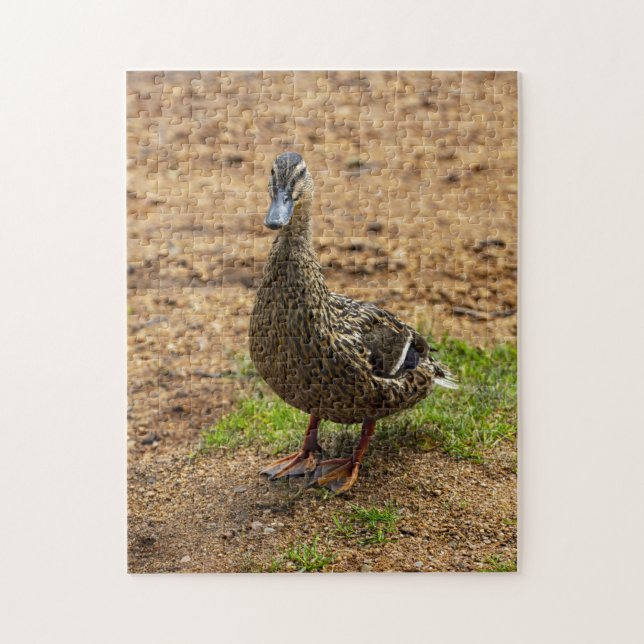 Ein Mallard Duck Jigsaw-Puzzle (Vertikal)