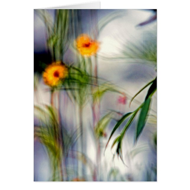 Ein Mangel an Fokus-Blume (Vorne)