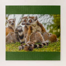 ein männlicher Lemur umarmt sein Weibchen im Rätse