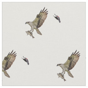 Ein männlicher Osprey, der einen Fisch trägt und Stoff