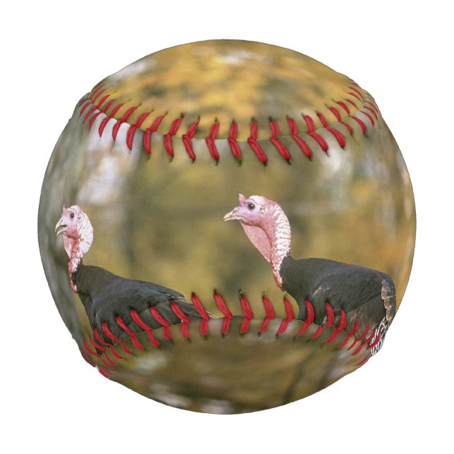 Ein männliches türkisches Paar im Herbst Baseball (Rückseite)