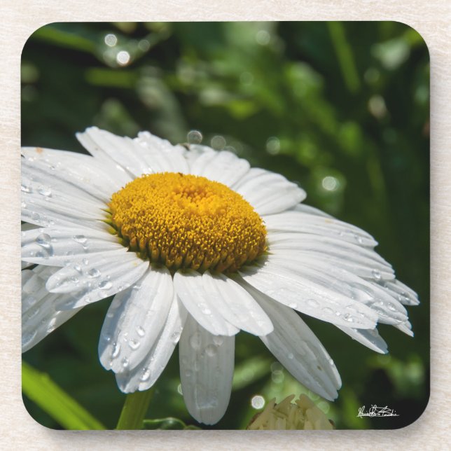 ein margueritte machen Grün Untersetzer (Vorderseite)