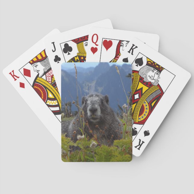 Ein Marmot im Paradies im Nationalpark Rainier Spielkarten (Rückseite)
