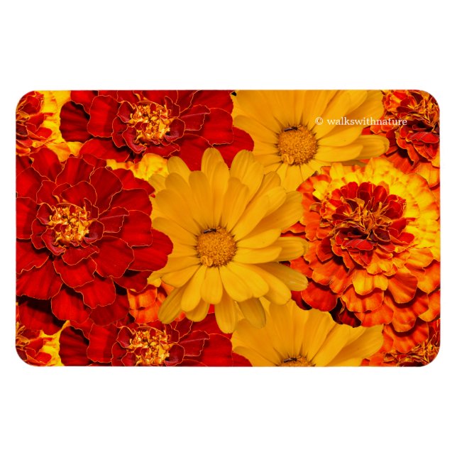 Ein Medley aus Rot-Gelb- und Orangenschwellen Magnet (Horizontal)