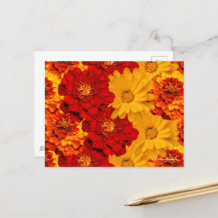 Ein Medley aus Rot-Gelb- und Orangenschwellen Postkarte