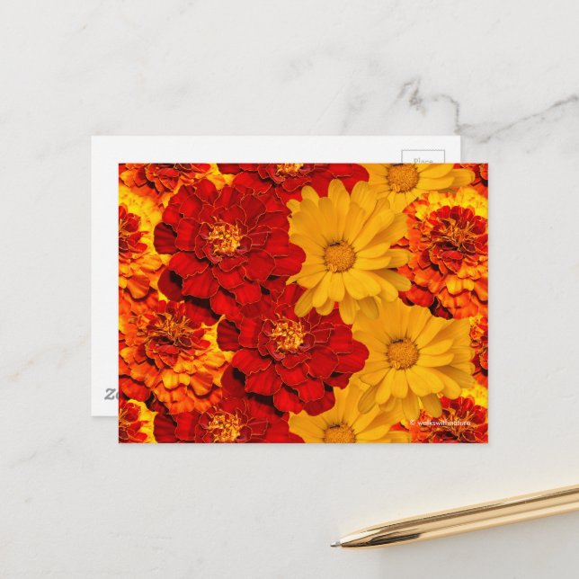 Ein Medley aus Rot-Gelb- und Orangenschwellen Postkarte (Vorderseite/Rückseite Beispiel)