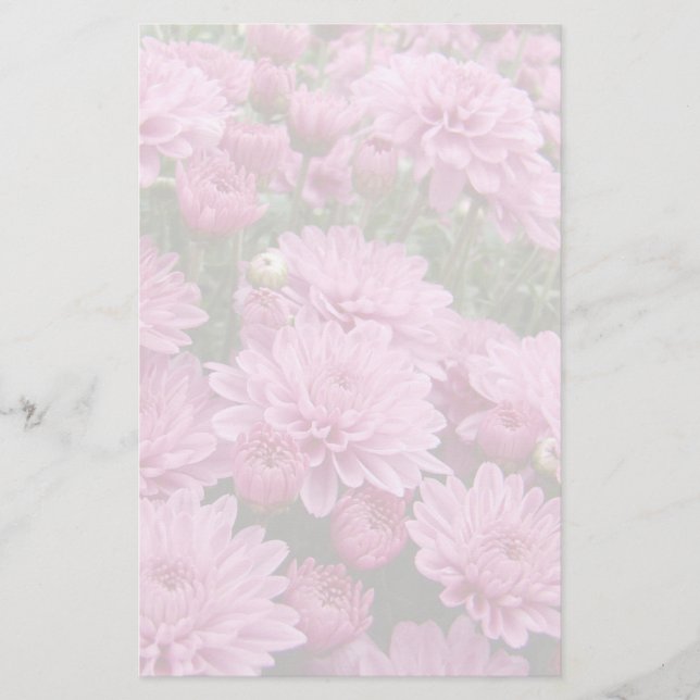 Ein Meer rosa Chrysanthemen #2 Briefpapier (Vorderseite)