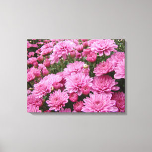 Ein Meer rosa Chrysanthemen #2 Leinwanddruck