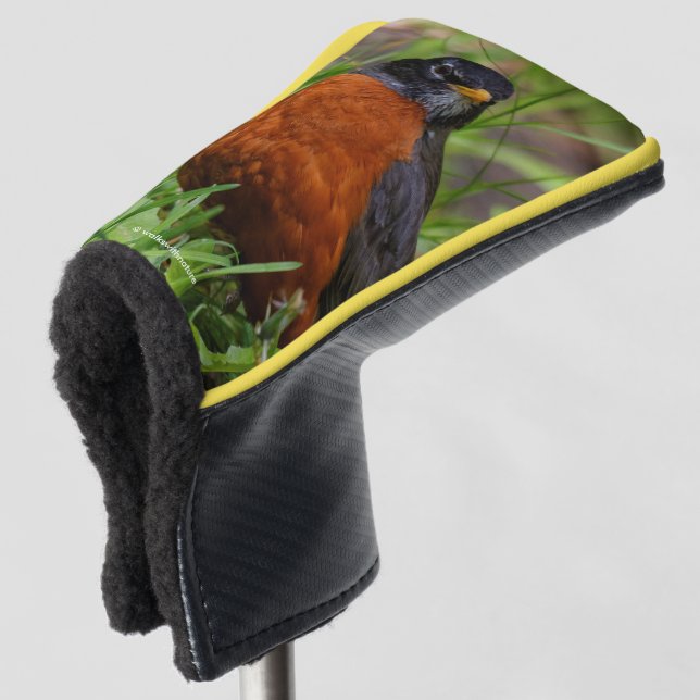 Ein merkwürdiger amerikanischer Robin im Gras Golf Headcover (3/4 Vorderseite)