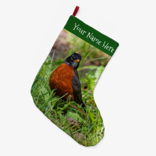 Ein merkwürdiger amerikanischer Robin im Gras Großer Weihnachtsstrumpf