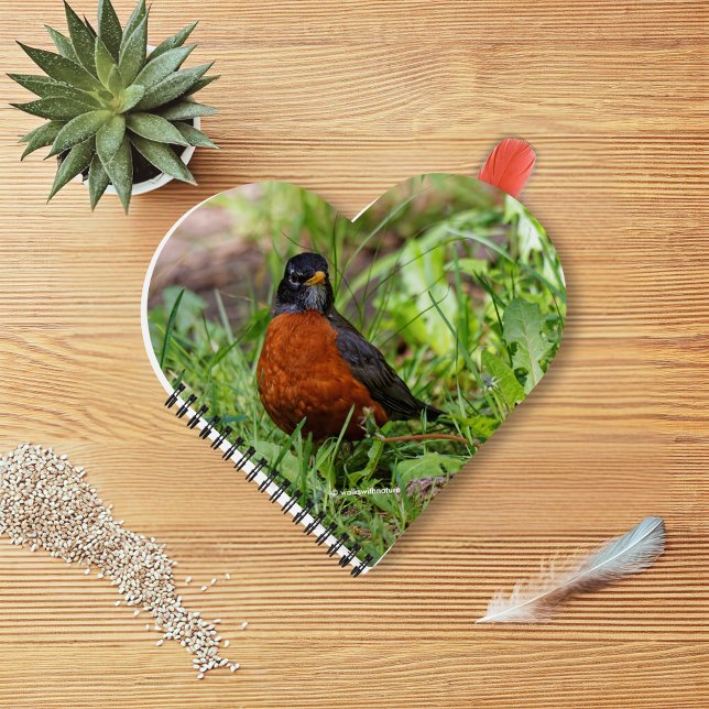 Ein merkwürdiger und hoffnungsvoller amerikanische notizbuch (Curious American Robin in the Grass Journal Cover Photo)