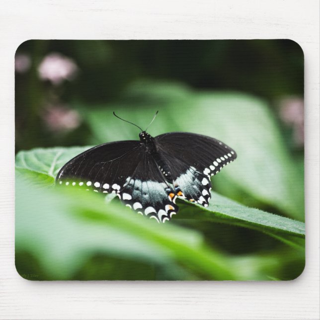 Ein merkwürdiges Mousepad (Vorne)