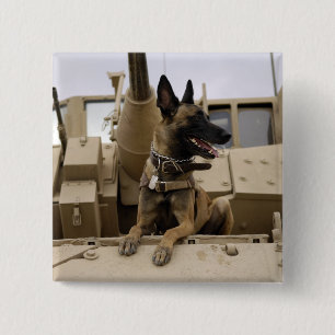 Ein Militärfunktionshund sitzt auf einem M2A3 Button
