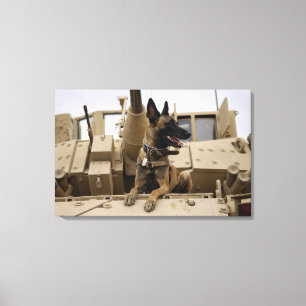 Ein Militärfunktionshund sitzt auf einem M2A3 Leinwanddruck