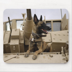 Ein Militärfunktionshund sitzt auf einem M2A3 Mousepad